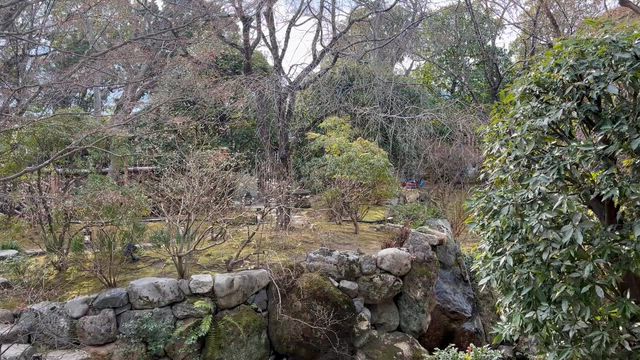 素敵なお食事〜秋津洲京都の記事動画