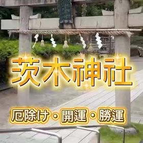 2025/09/24の画像