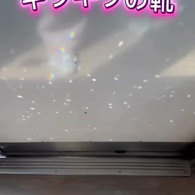 2025/09/15の画像