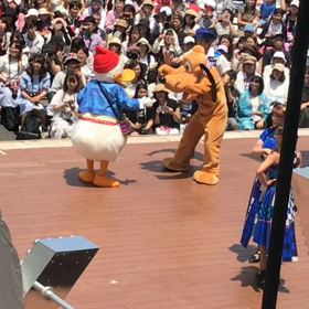 6/6 サニーファン戦争 ハロニュー余談編の画像