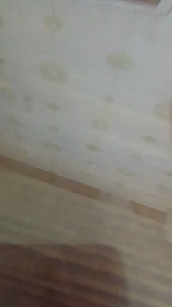 旧正月なもんで！の記事動画