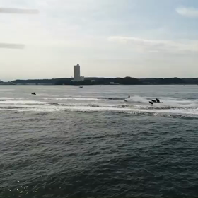 ドローン撮影！ 海仲間と！の画像
