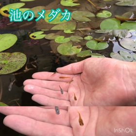動画にしました（╹◡╹）の画像