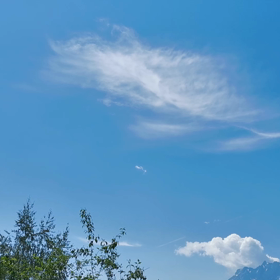 【トラウマの影響、あま りにも大きかった】の画像