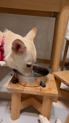 雷で…死ぬかと思った 泣の記事動画