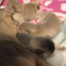 動きが活発にの画像