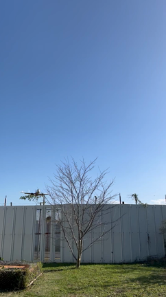 九十九里の記事動画