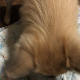 跳んではみたもののの画像