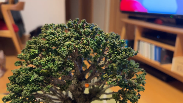 石化ヒノキの箒仕立て | Vintage Bonsai 〜盆栽＆北欧ヴィンテージ〜