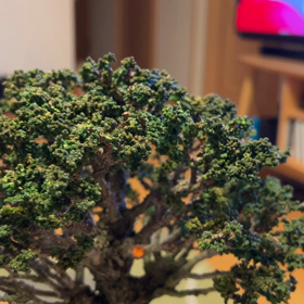 石化ヒノキの箒仕立て | Vintage Bonsai 〜盆栽＆北欧ヴィンテージ〜
