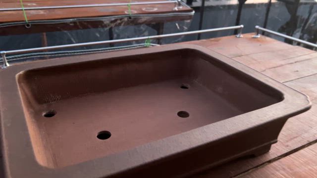 佳山鉢 | Vintage Bonsai 〜盆栽＆北欧ヴィンテージ〜