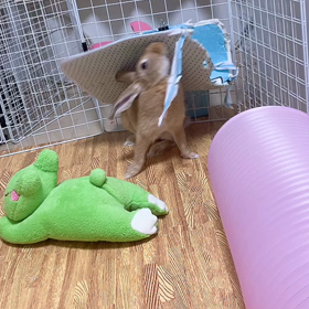 ボロボロの画像