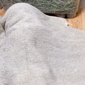 ミニ問題の画像