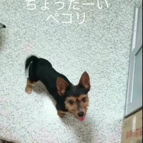 おやつの画像