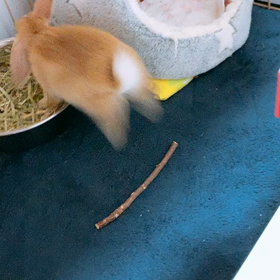 誕生日の画像
