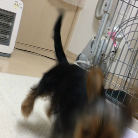 1人遊びの画像