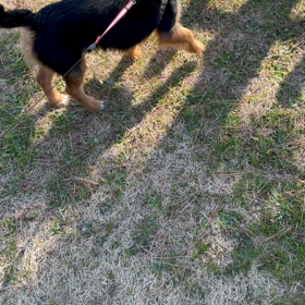 お出かけの画像