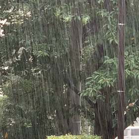 雨さん待って！の画像