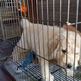 動画☆の画像