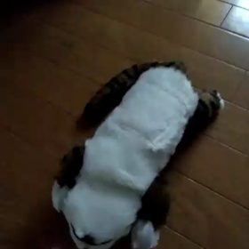 笑う猫のぬいぐるみの画像