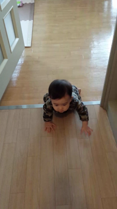 匍匐前進の記事動画
