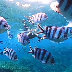 青の洞窟の画像