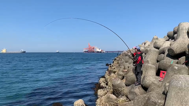 5号地チヌ釣りの続き②の記事動画
