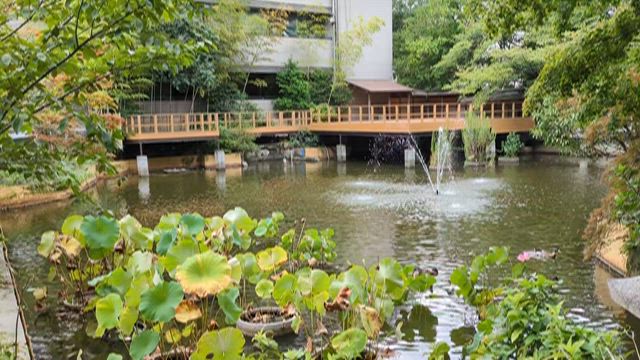 生田神社と生田の森の記事動画