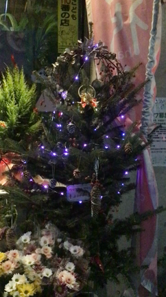 クリスマスツリーのピカピカ✨の記事動画