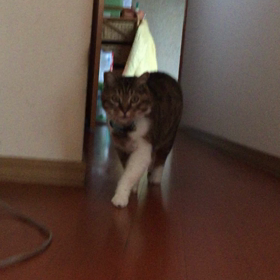 ありまの画像
