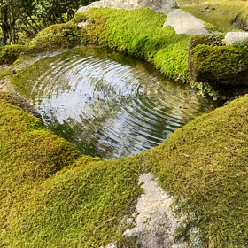 初動画❗️京都　南禅寺の天寿庵にての画像