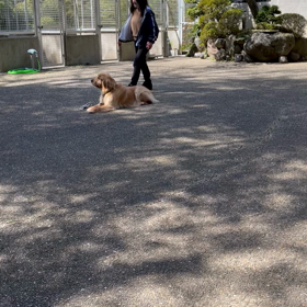 オーレが帰って来たぁ〜^_^の画像
