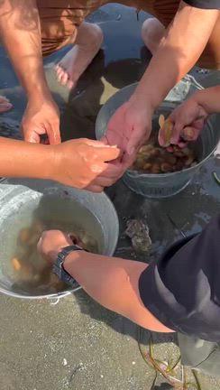 大量収穫^_^の記事動画