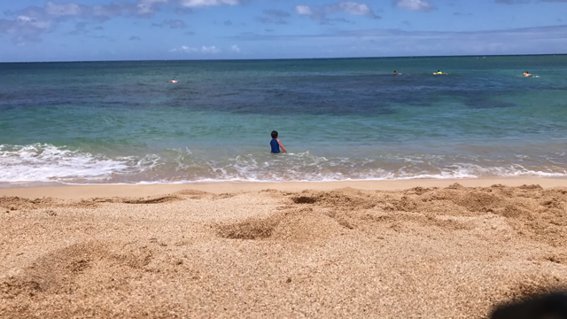 ハワイ、オアフ島ノースショアの記事動画