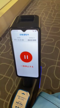 2022年1月妊婦ライフ29週　羽田空港の記事動画