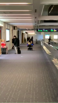 2022年1月妊婦ライフ29週　羽田空港の記事動画