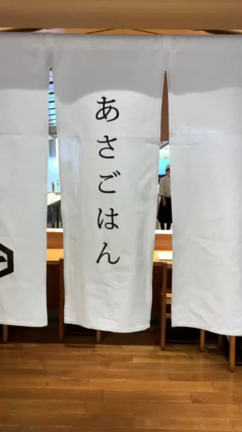 2022年1月妊婦ライフ29週の記事動画