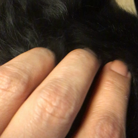 ワンコがリラックスぅ〜〜〜〜の画像