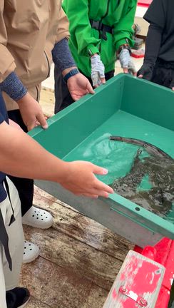 遅くなりましたの記事動画