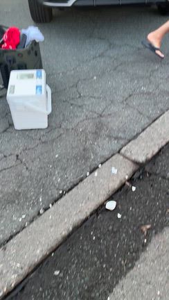 さぁお別れやなぁの記事動画