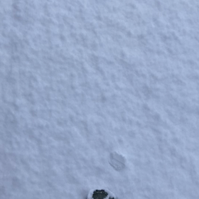 雪を踏む、と、マスクの下。の画像