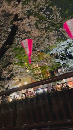 あいのりの里お花見飲み会の記事動画