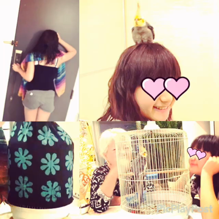 オカメインコちゃんの記事動画