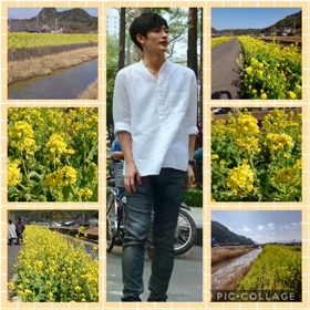 ✨菜の花デートの画像