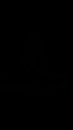 Fondation Louis Vuittonの記事動画