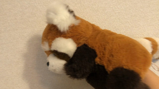 パンダはパンダでも٩(^‿^)۶の記事動画