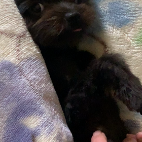 挟まれたの画像