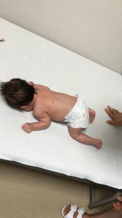 すくすく育ってます♫の記事動画