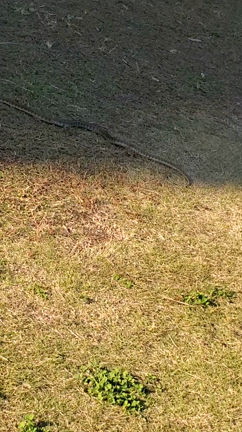 産んでくれて、ありがとう♪の記事動画