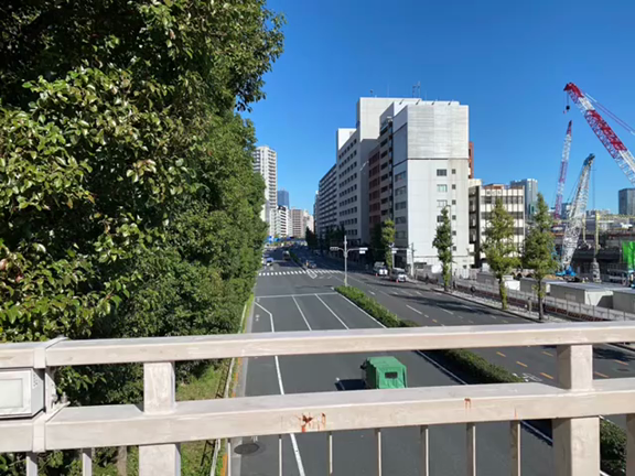 かめちゃんセンターピース49期卒業でした！の記事動画